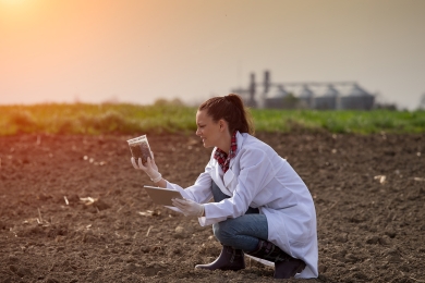 Soil Results