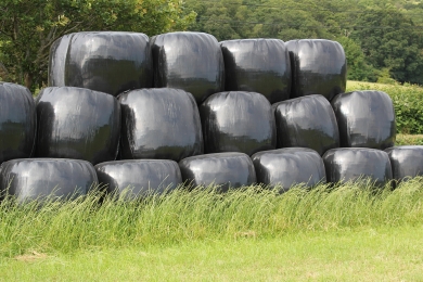 Wrapped Grass Baled Silage