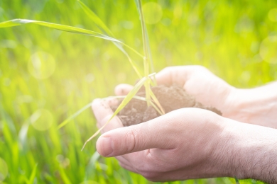 Pasture Management