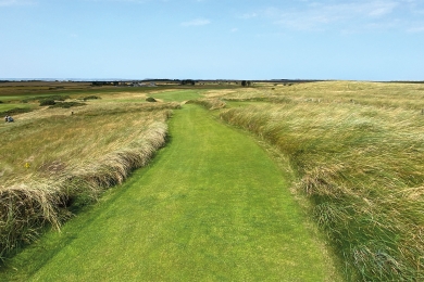 Why Choose 100 Perennial Ryegrass Golf Walkway