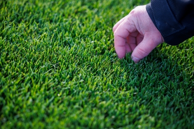 Aftercare Overseeding Sport Pitches