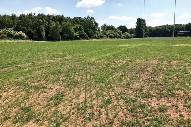 Overseeding Sport Pitches