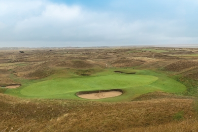 SGT Fine Fescue
