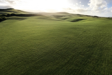 St Patricks Fairway