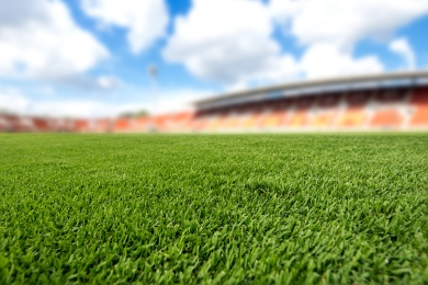 Football Pitch Turf Grass