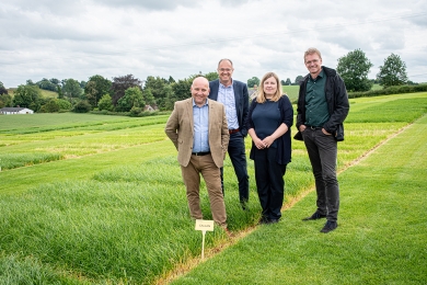 Barenbrug and AFBI Partnership