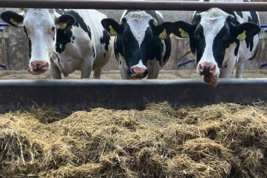 Braemar Farm - Combi