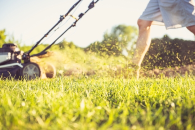 Mowing Grass Lawn