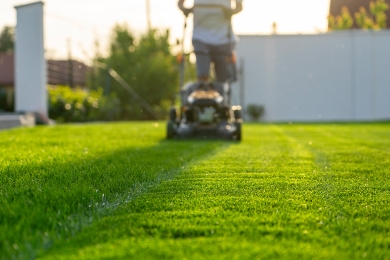 Mowing Lawn