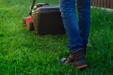 Mowing Shaded Grass