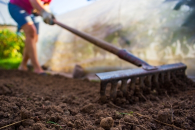 Raking Grass Lawn