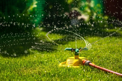 Watering Lawn Garden