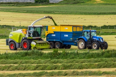 Silage