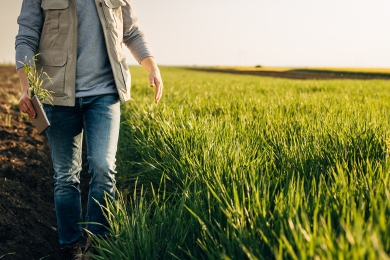Organic Grass Farming - What does that mean for the progressive grass farmer?