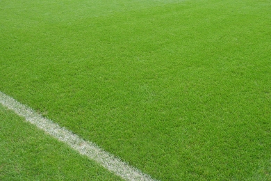 Bristol Football Club