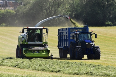 Silage