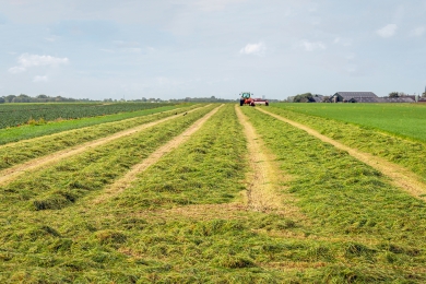 Silage
