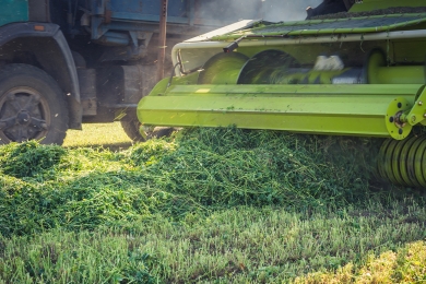 Silage