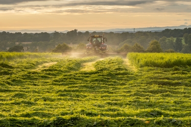Silage