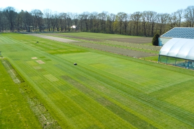 Turf trial plots
