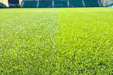 Hibernian Football Club
