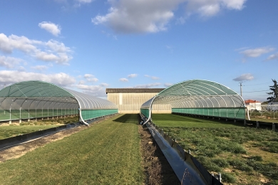 Rainout Shelters
