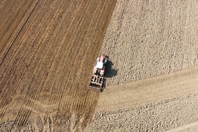 Reseeding