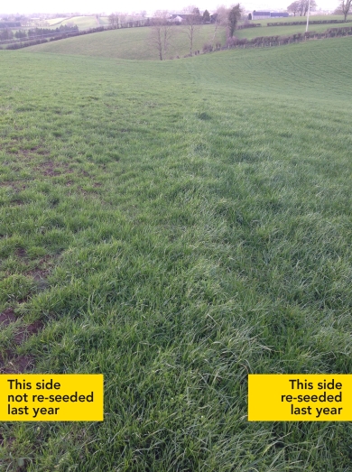 Reseeding Comparison