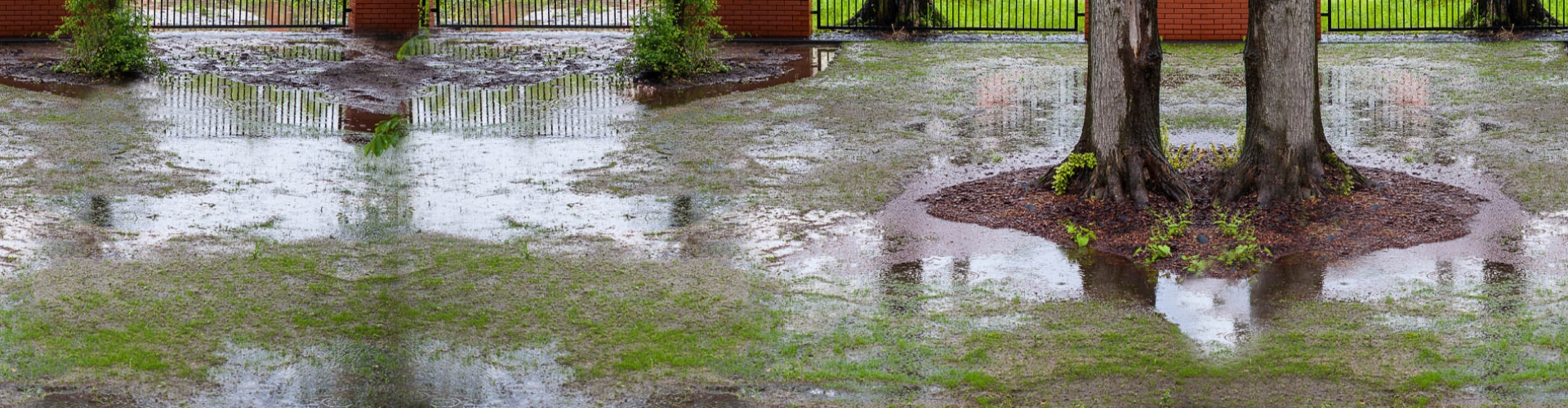 Landscaping Essential E10