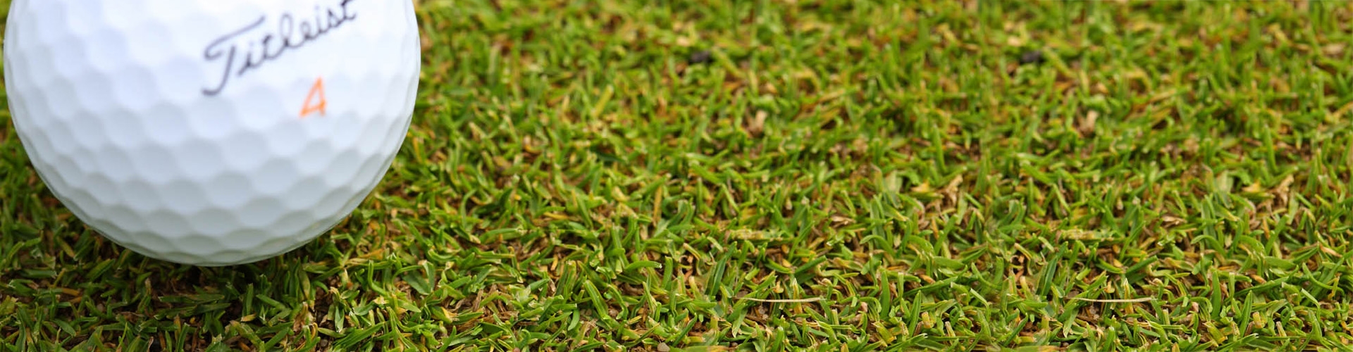 Landscaping Essential E6