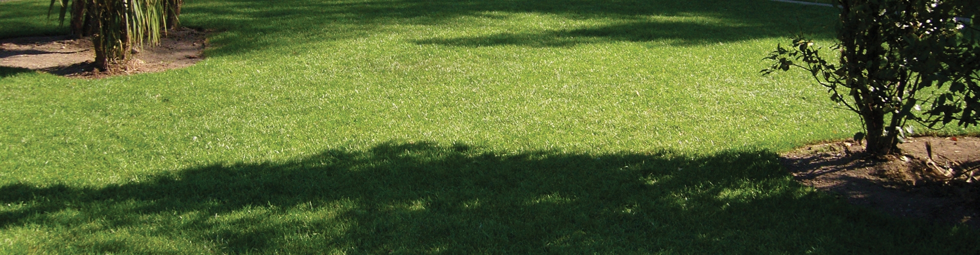 Landscaping Essential E11