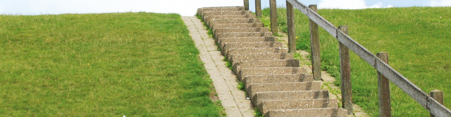 Landscaping Essential E16 & E16-C