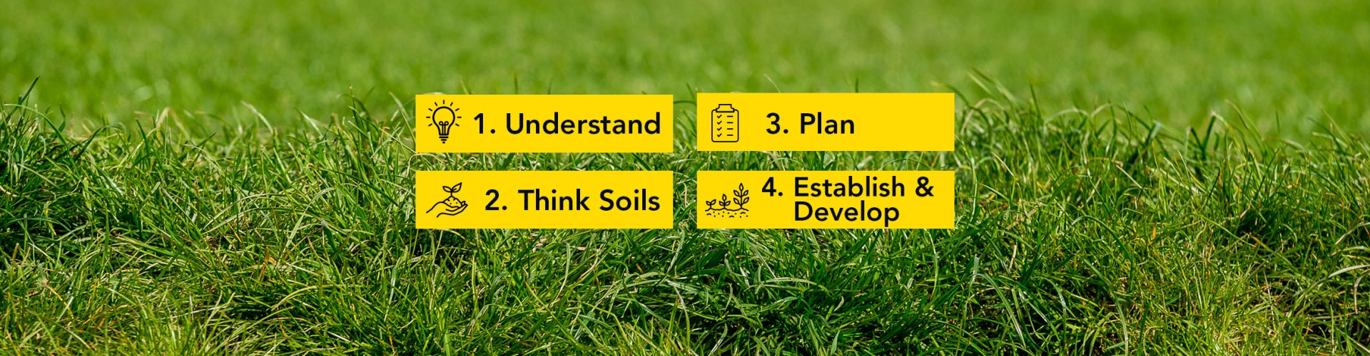 4 Steps To Grass Success