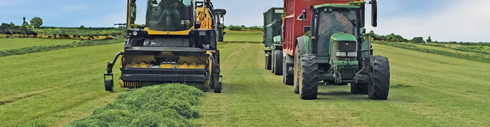 Go Softly for the First Silage Cut