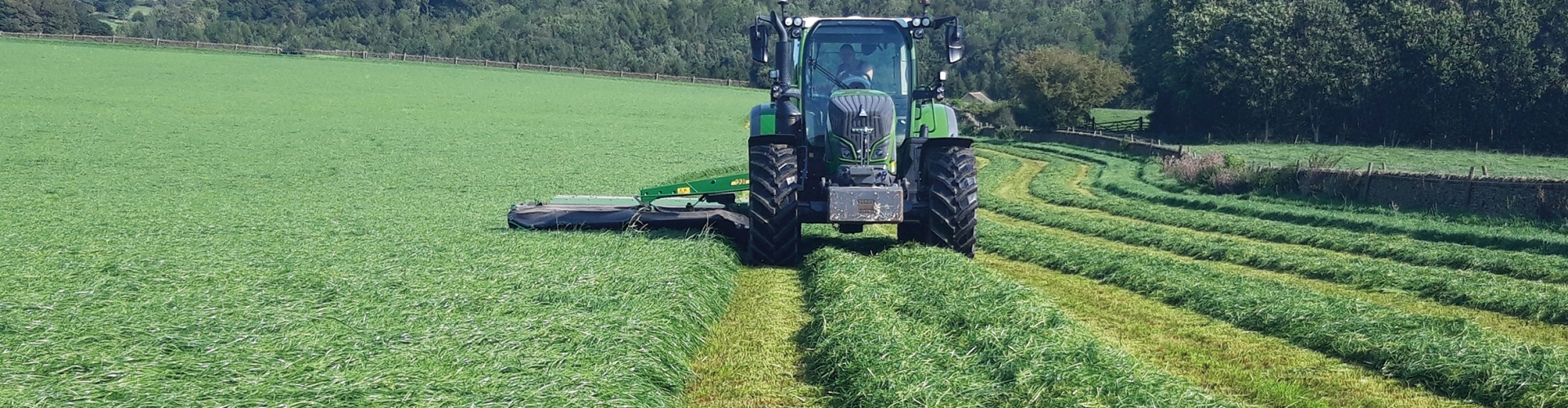 The Potential Benefits To Grass Header