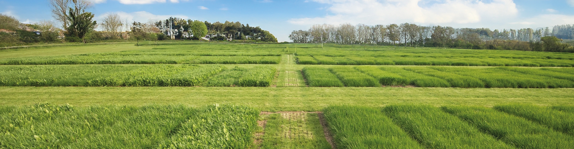 Grassland Index Guide Header