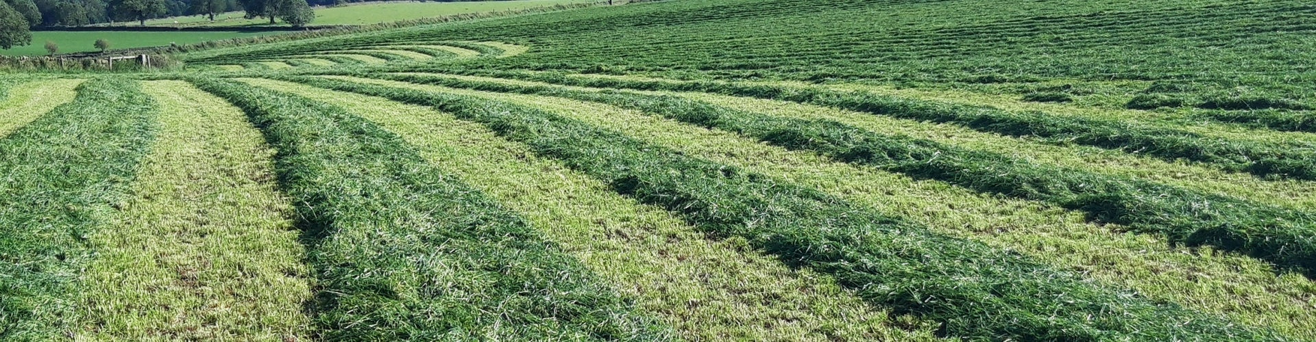 Making Quality Grass Silage