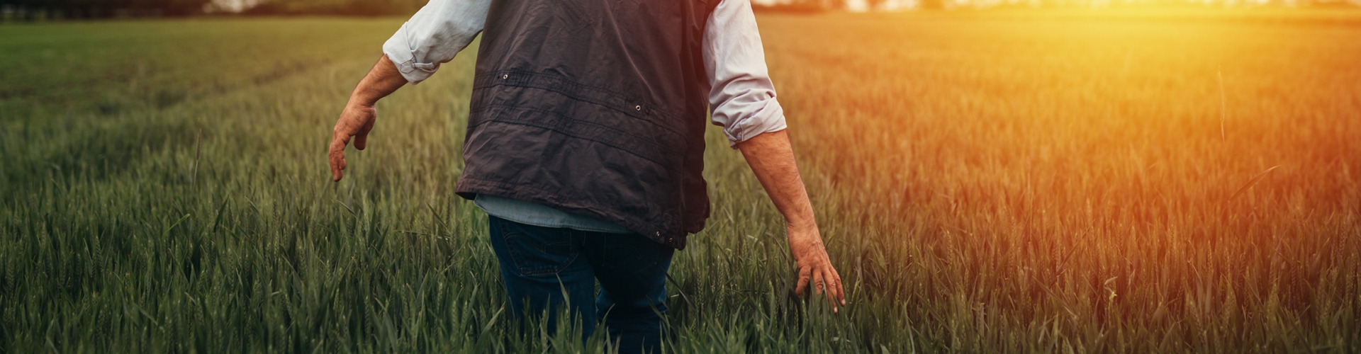 The Most Important Crop Of 21st Century