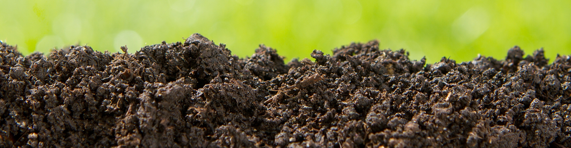 Soil Management & Nutrition