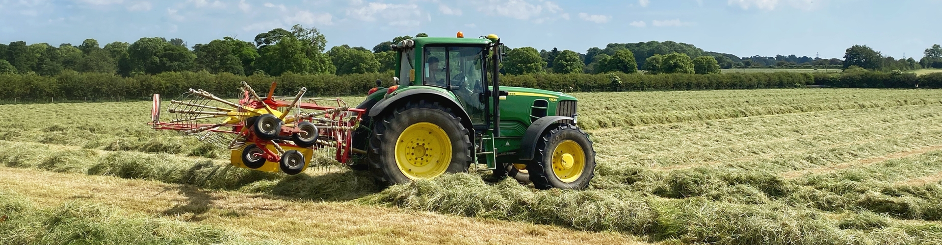 Conventional Silage