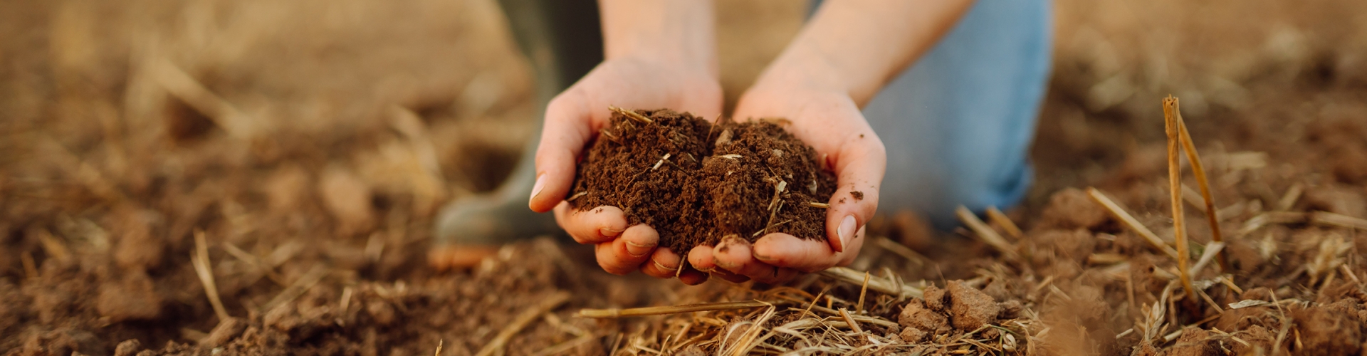 Why You Should Really Know Your Soil