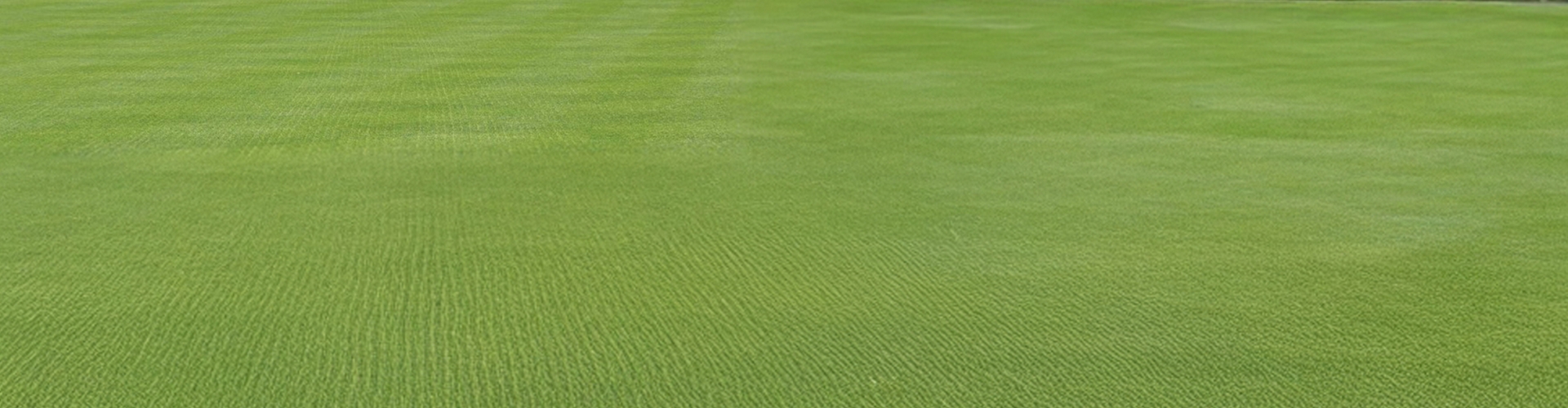 Bank On Browntop For Sustainable Overseeding