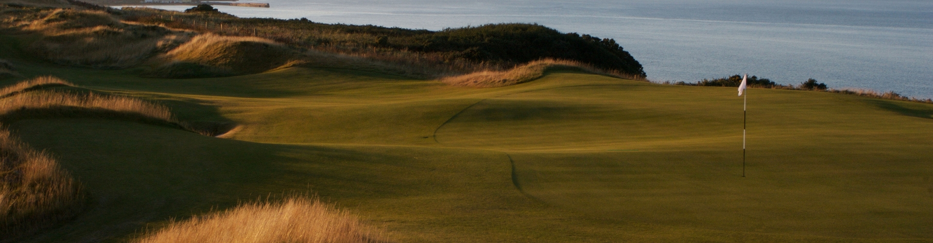 Best Timing For Overseeding A High-Traffic Golf Course