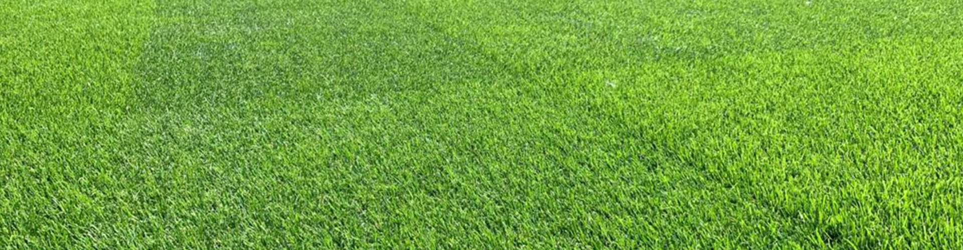 Overseeding Sport Pitches