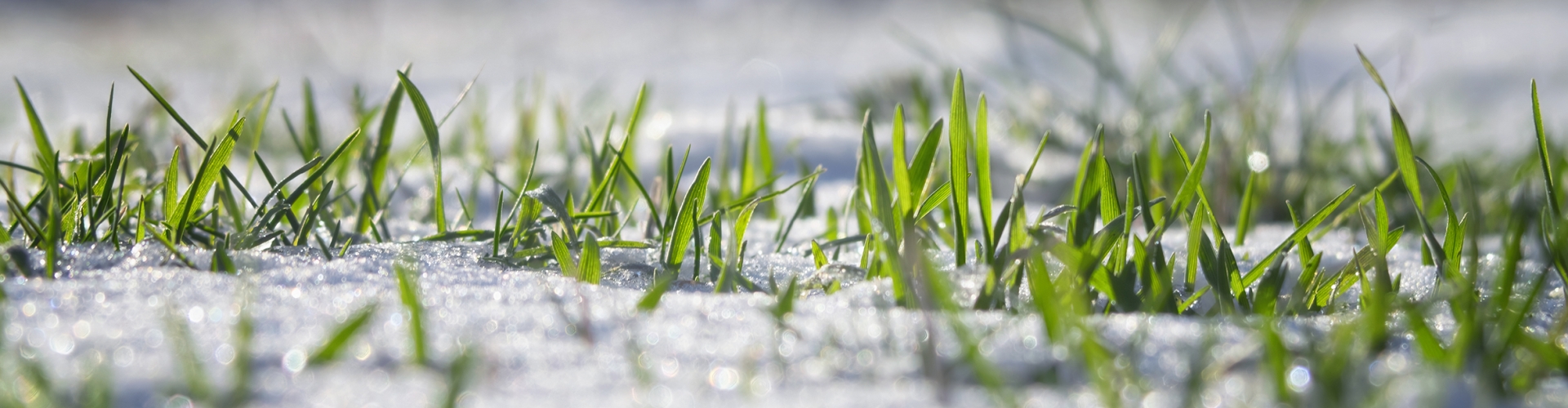Winter Fields Maintenance Checklist