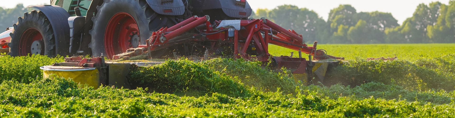 First Cut Silage Strategy - Why Patience Pays Off - Header image