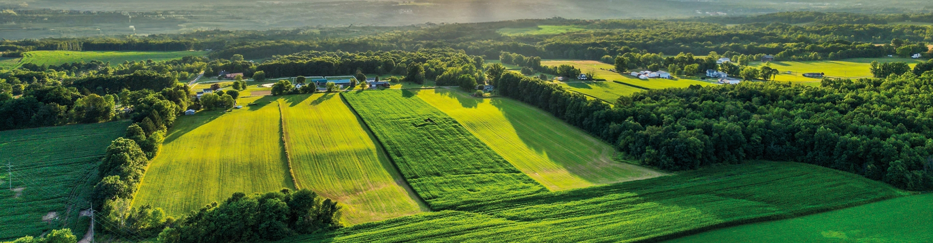 Farm Fodder Flow Go With The Flow