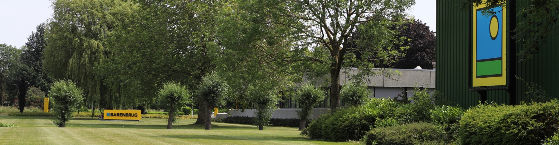 Barenbrug