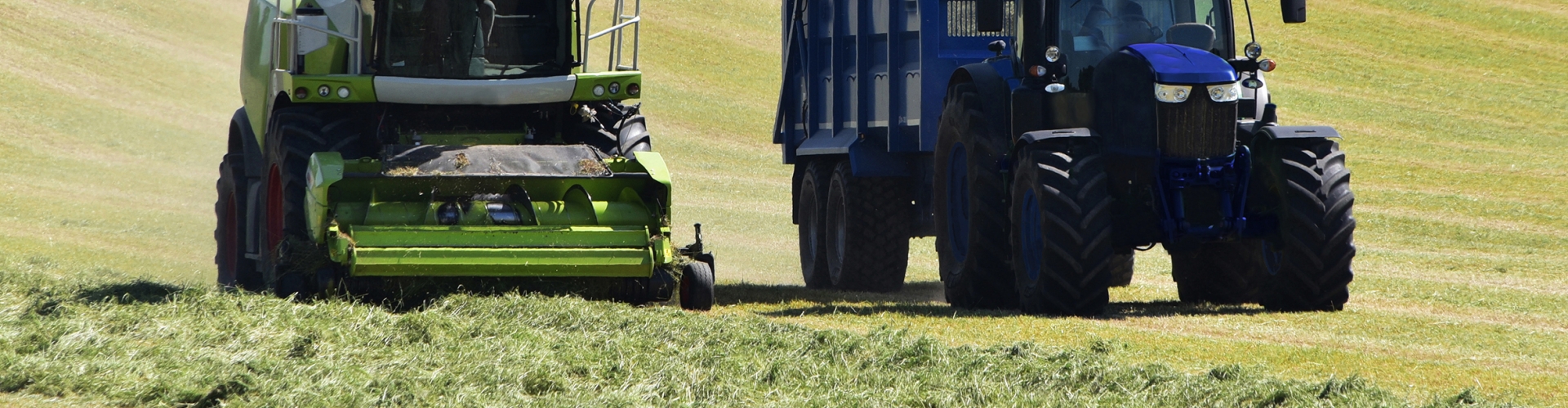 Silage