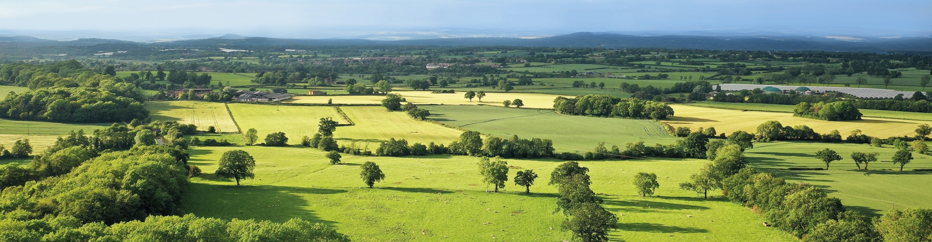 Farm Agriculture